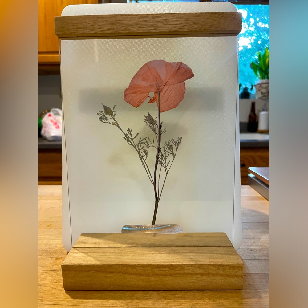 Bohemian Floating Flower in Frame